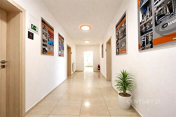 Dlouhá chodba s dlažbou, světlá stěna, moderní osvětlení, dekorativní obrazy a rostlina v květináči vytvářejí přívětivou atmosféru.