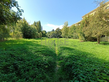 IMG_20250918_135013