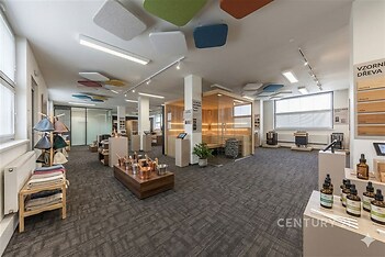 Velká komerční místnost s moderním kobercem, prosklenými příčkami a výraznými stropními panely nabízí světlý prostor vhodný pro kancelářské využití.