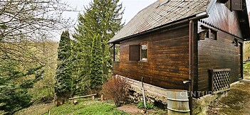 Dřevěná chata na okraji lesa s dřevěným obkladem a kamenným základem, obklopená zelení a vzrostlými stromy, ideální pro rekreaci v přírodě