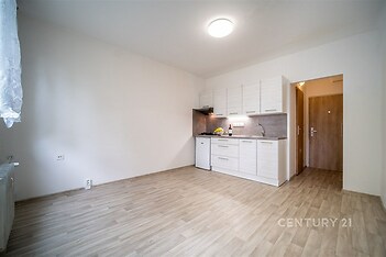 Obývací pokoj s kuchyňským koutem