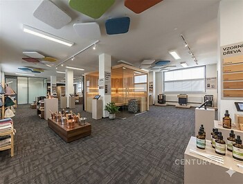 Prostorná kancelářská místnost s moderním designem, kobercová podlaha, velká okna poskytující dostatek světla, otevřený prostor s výstavními prvky.