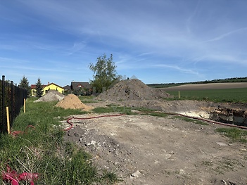 IMG_1347 (1)
