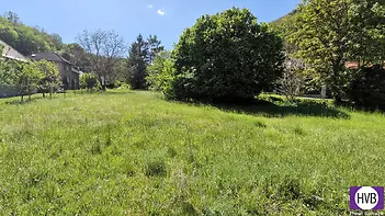 20240514-150252.jpg