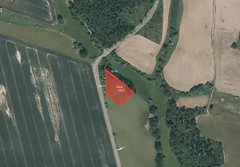fotografie