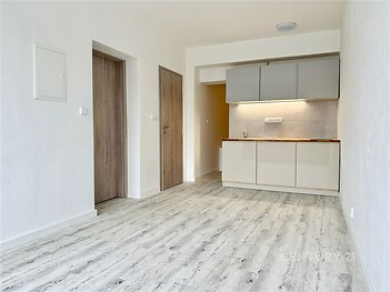 Světlá moderní kuchyň s dřevěnými podlahami a vestavěnou skříní nabízí funkční prostor v rekonstruovaném bytě.