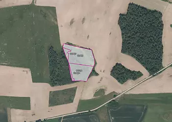 fotografie