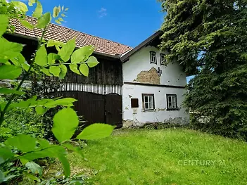Dům