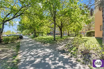 dsc09050.jpg