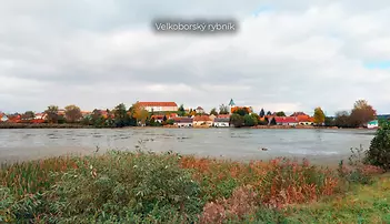 fotografie