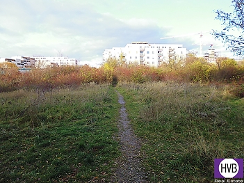 p1110275.jpg