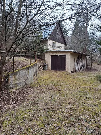 20250323_105750