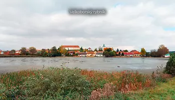 fotografie