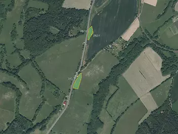 Fotografie
