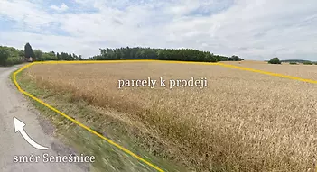 fotografie