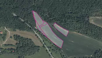 fotografie