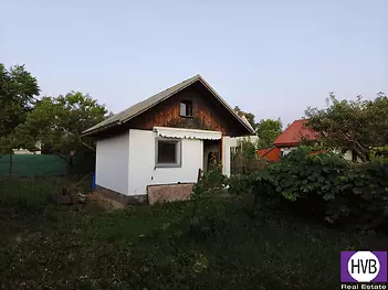 vinor2.jpg