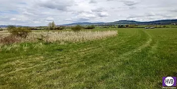 220650040.jpg
