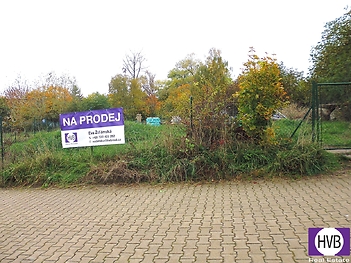 p1110203.jpg