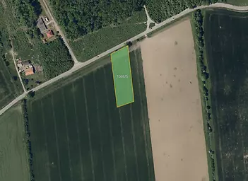 fotografie