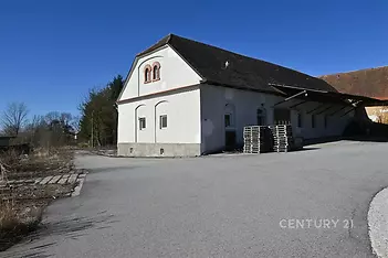 Hala