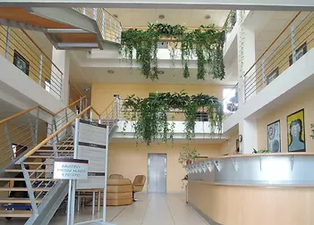1 atrium