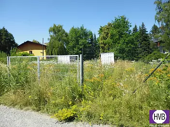 p1110003.jpg