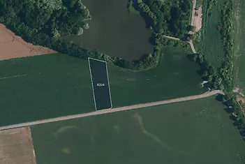 fotografie