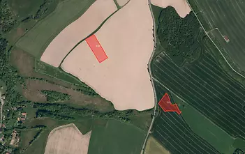 fotografie