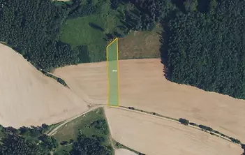 fotografie