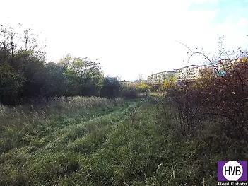 p1110265.jpg