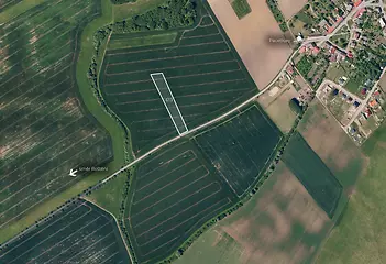 fotografie