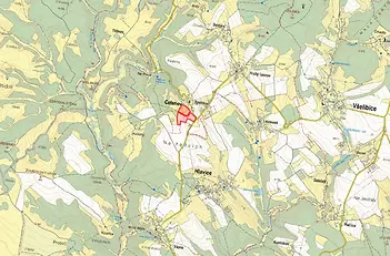fotografie