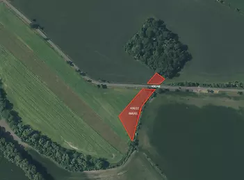 fotografie