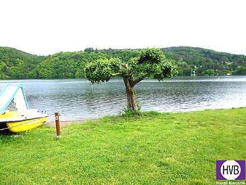 p1100827.jpg