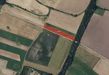 fotografie
