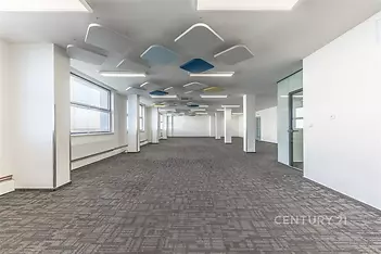 Prostorná kancelář s moderním kobercem, velkými okny a skleněnými příčkami v minimalistickém stylu.