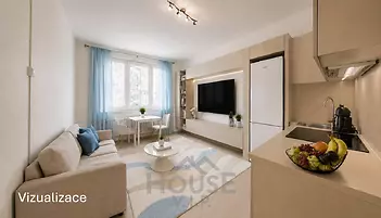 vizualizace Bělinského1.1