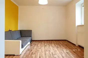obývací pokoj s dřevěná podlaha, přirozené světlo, a radiátor