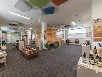 Prostorná kancelářská místnost s moderním designem, kobercová podlaha, velká okna poskytující dostatek světla, otevřený prostor s výstavními prvky.