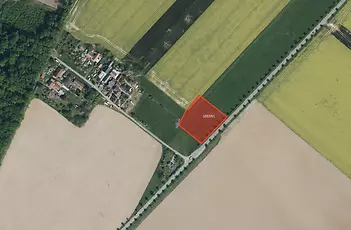 fotografie