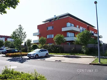 Dům
