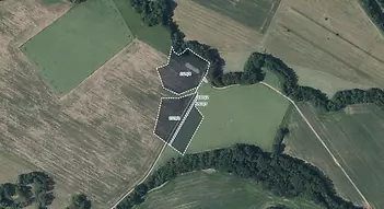 fotografie