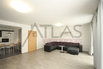 obývací pokoj / living room