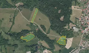 fotografie