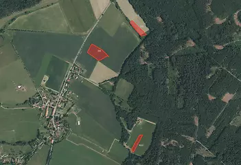 fotografie