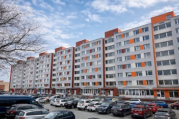 dum milanska