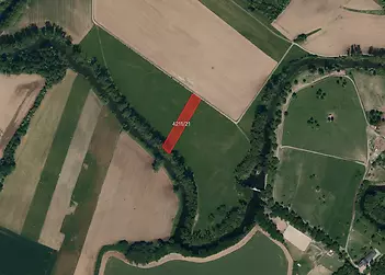 fotografie