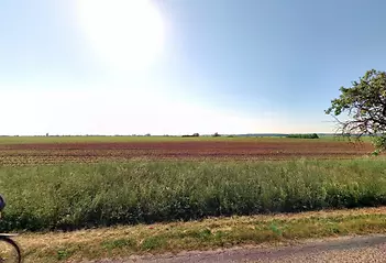 fotografie