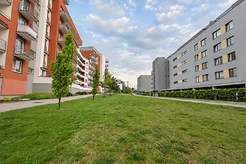 13_DSC_1102_V2